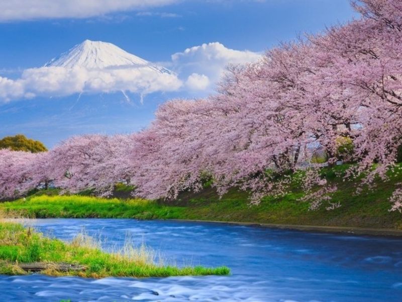 mua-xuan-bat-dau-tu-thang-may-2