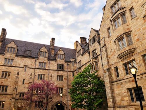 Why You Don’t Need a Dream School