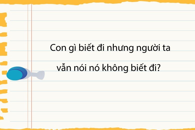 250+ Những câu đố vui, đố mẹo, hack não, dân gian cười đau bụng nhất