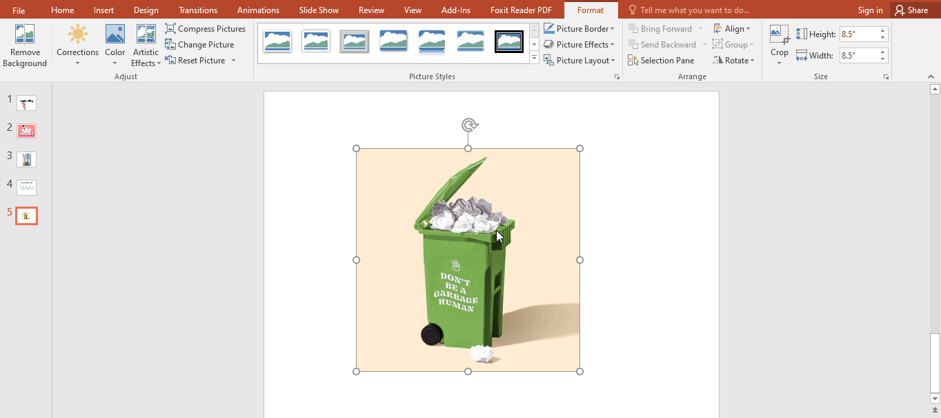 Cách tách nền ảnh trong PowerPoint 3