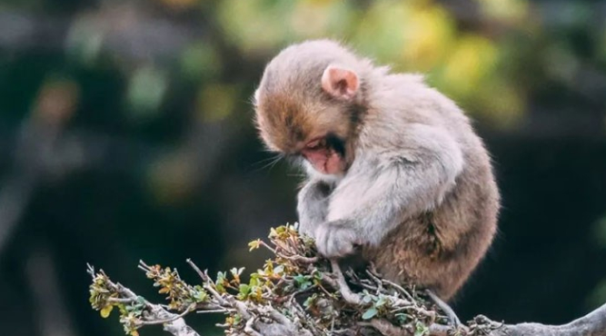 Sinh năm 1992 năm nay 2026 bao nhiêu tuổi