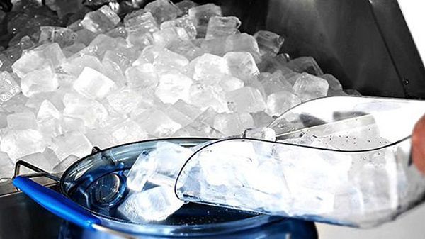 Bạn có biết nhiệt độ của nước đá đang tan và khi đông đặc là bao nhiêu không ?