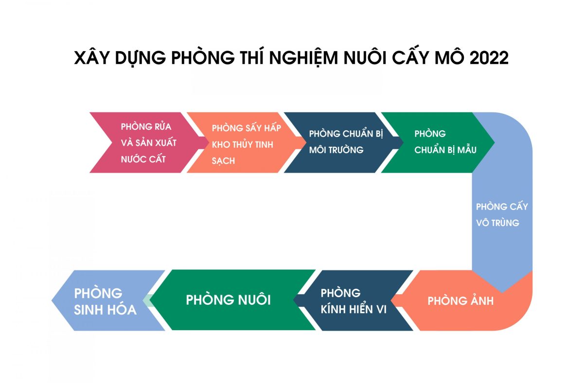 Nuôi cấy mô thực vật là gì? Xây dựng phòng thí nghiệm nuôi cấy mô 2022