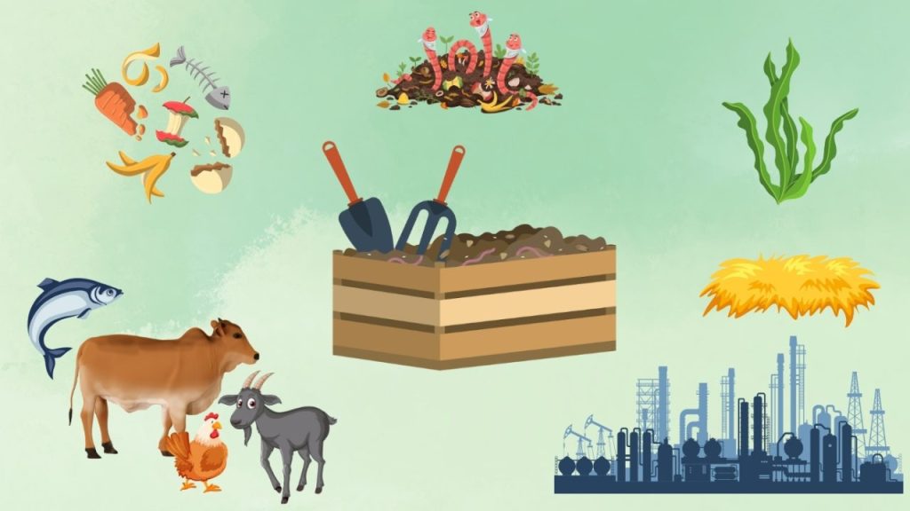 Phân bón hữu cơ có đặc điểm gì? Tìm hiểu chi tiết về lợi ích và hạn chế của loại phân này