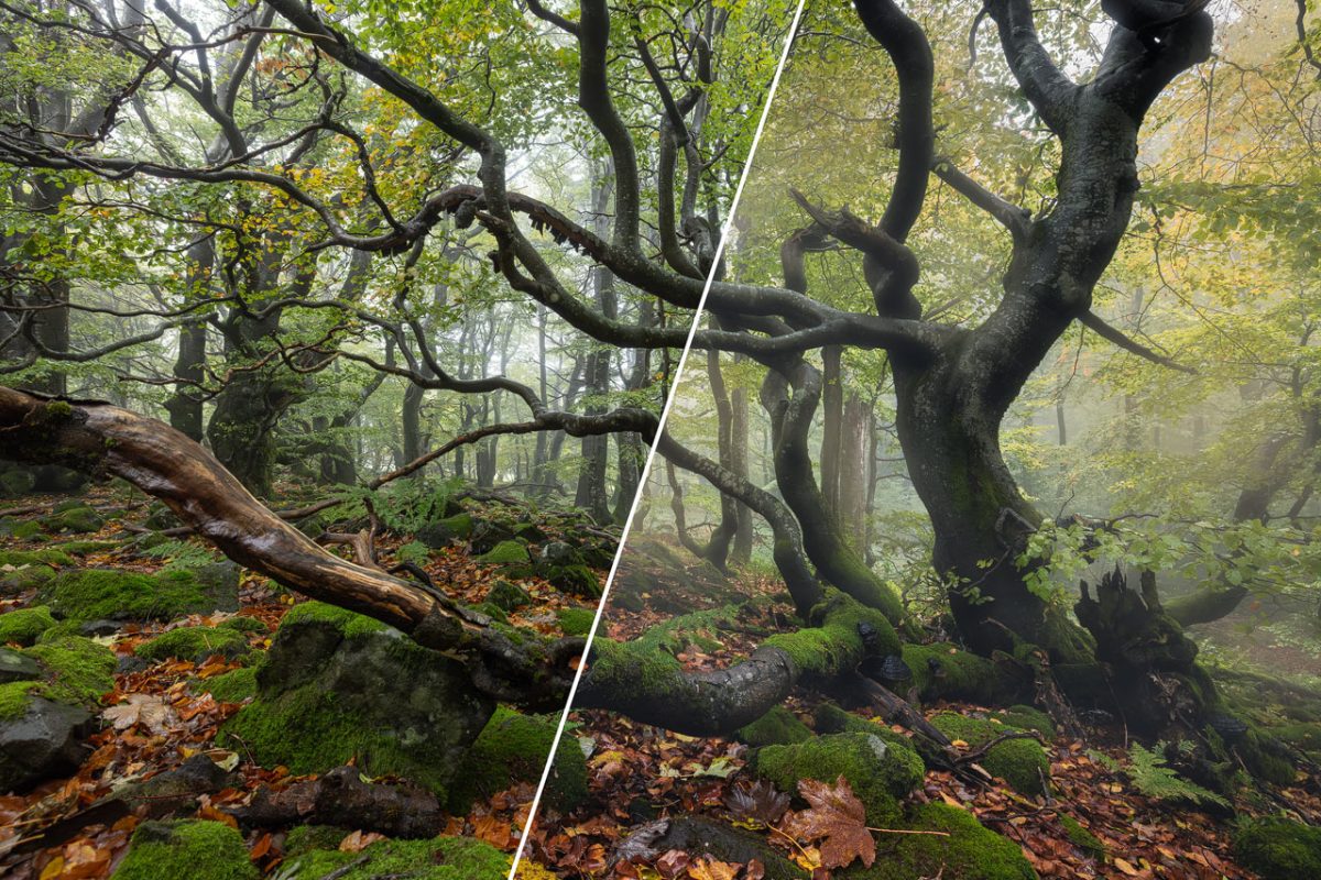 Blog - Best Plugins for Photoshop and Lightroom