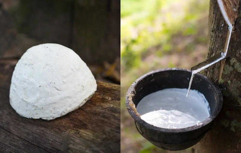 Cao su là polime thiên nhiên hay polime tổng hợp có tính đàn hồi. (Ảnh: Sưu tầm Internet)