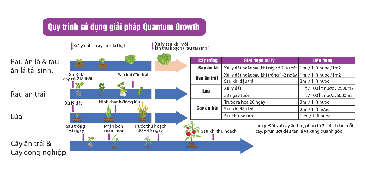 QUANTUM LIGHT – Phân vi sinh cải thiện khả năng quang hợp cho cây trồng