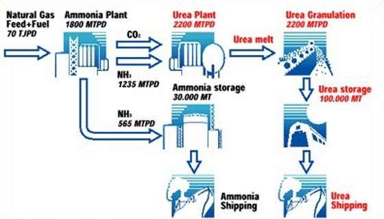 Amoniac và công nghệ sản xuất amoniac