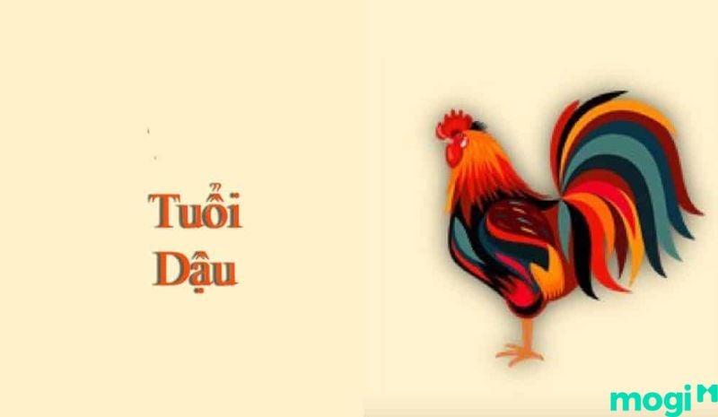 Sinh năm 1969 Tuổi Gì? Hợp Tuổi Nào, Hướng Nào, Màu Nào? Luận Giải Chi Tiết