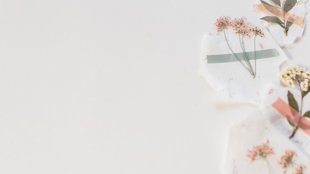 Hình ảnh hoa khô ép trên giấy với tông màu pastel, kèm theo ruy băng trang trí. Phù hợp với slide PowerPoint 20/11 mang phong cách vintage.