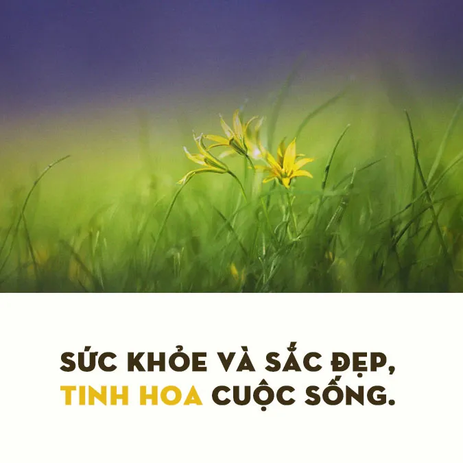slogan sức khỏe 4