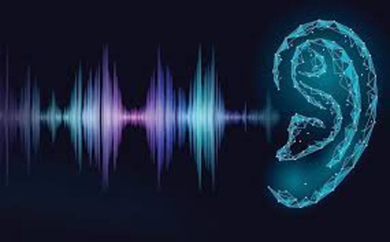 Âm thanh là loại sóng nào? Đặc điểm từng loại sóng âm trong đời sống như thế nào?