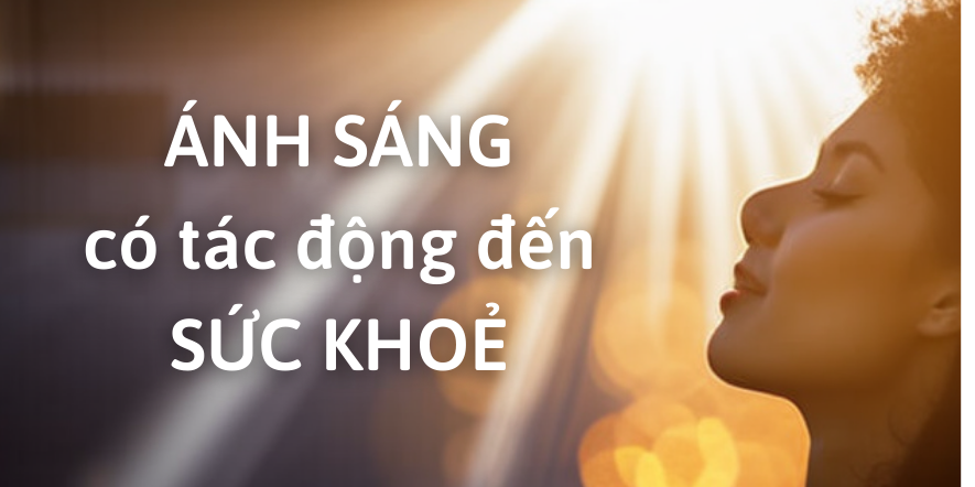 Tầm quan trọng của đèn học để bàn trong học tập và làm việc