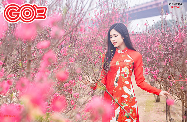 Hướng dẫn&nbsp;c&aacute;ch tạo d&aacute;ng chụp ảnh &aacute;o d&agrave;i Tết