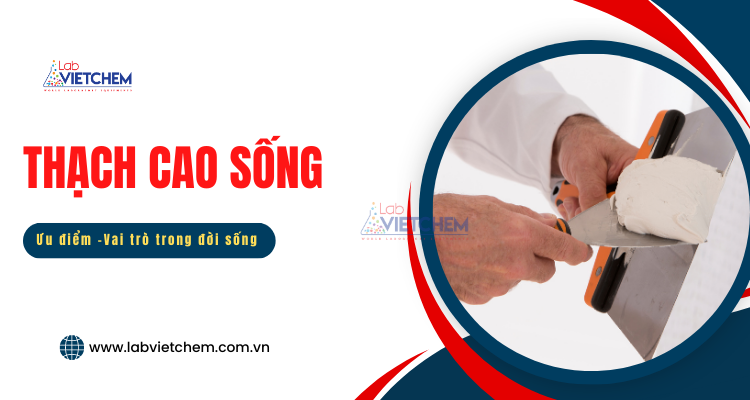 Thạch cao sống là gì? Vai trò trong đời sống?