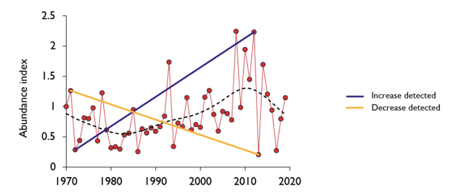 Has there been a huge decline in the number of insects?