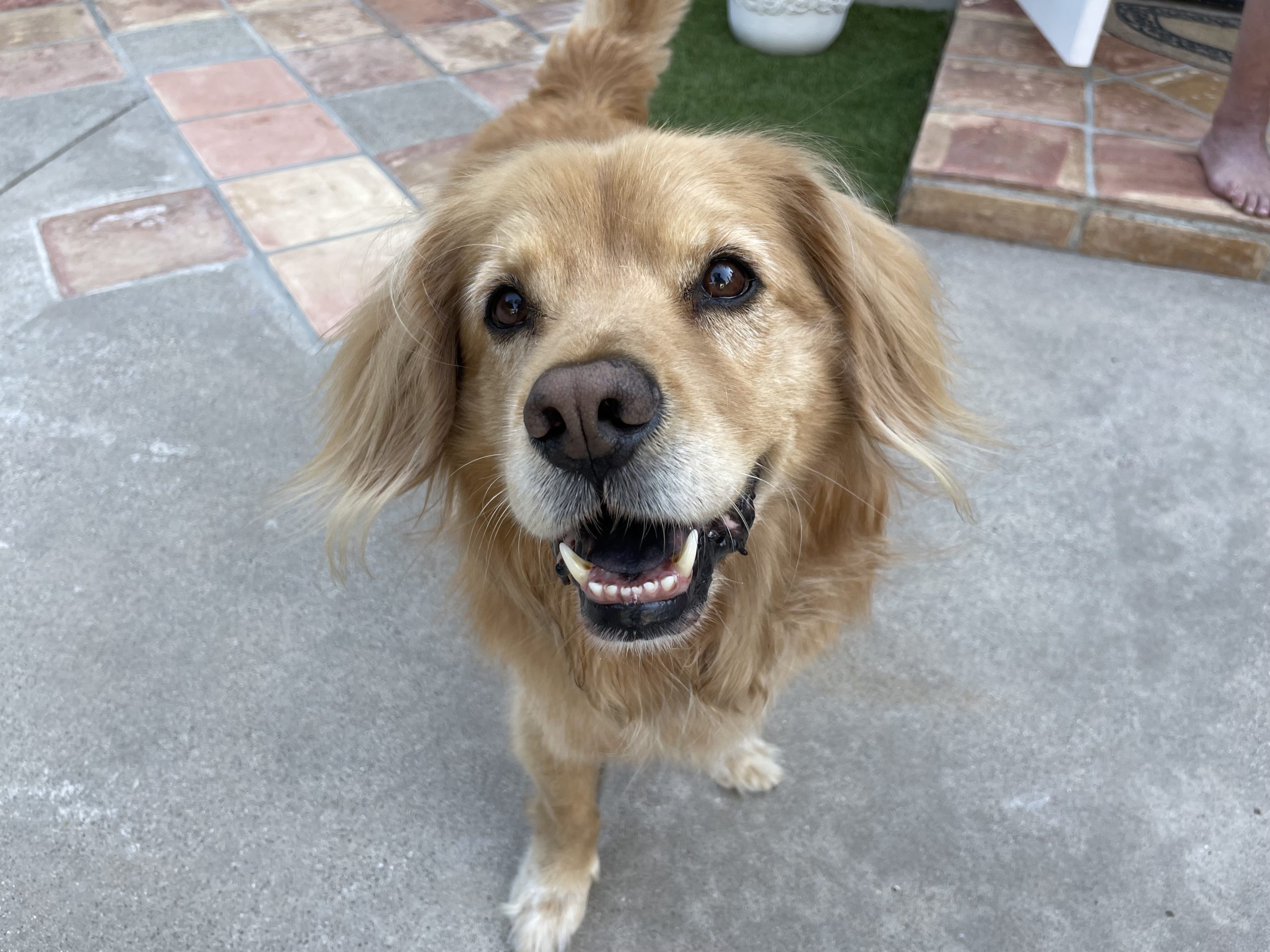 stay calm while people swim in the pool