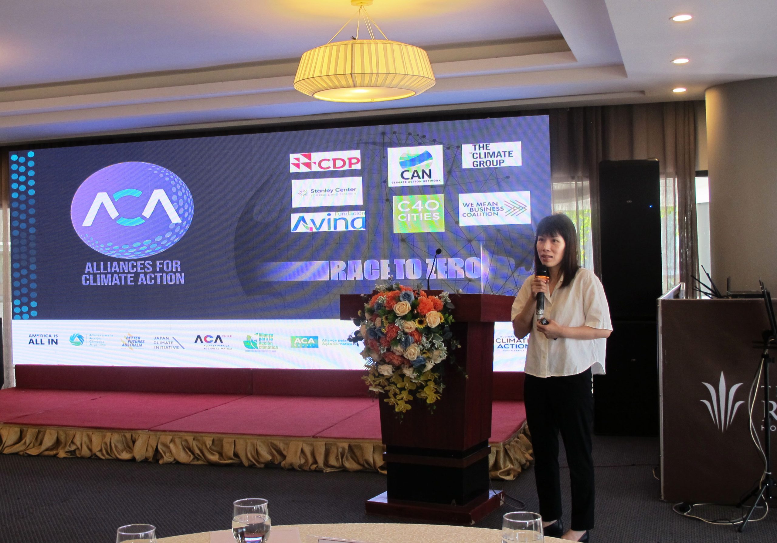 Công bố chiến lược và đẩy mạnh hợp tác trong hỗ trợ các hoạt động bảo vệ môi trường, ứng phó với biến đổi khí hậu cho quốc gia và địa phương