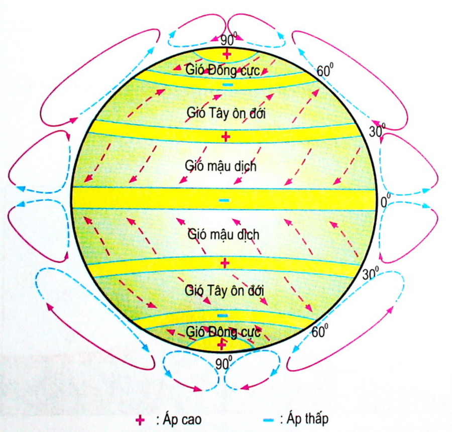 Gió Tín phong là gì? Nguồn gốc gió tín phong từ đâu? Phân biệt gió Tín Phong và gió mùa