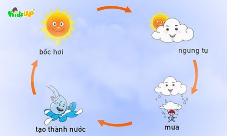 Quá trình hình thành nên hiện tượng mưa