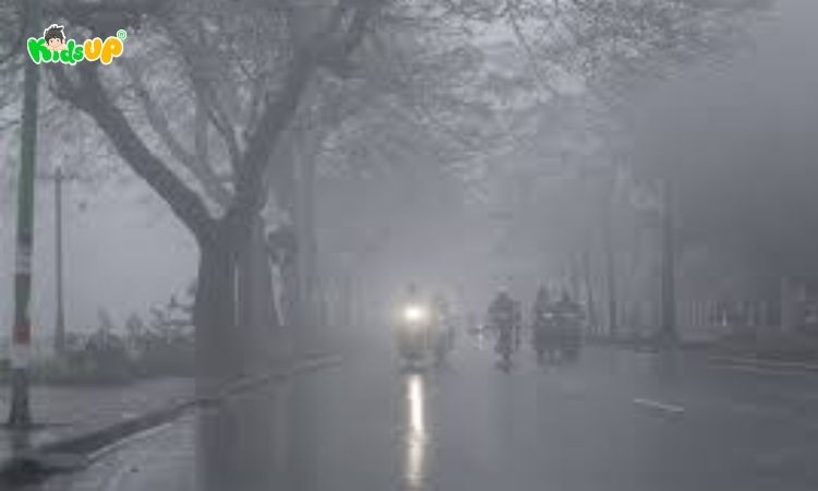 Hình ảnh mưa phùn và có sương mù