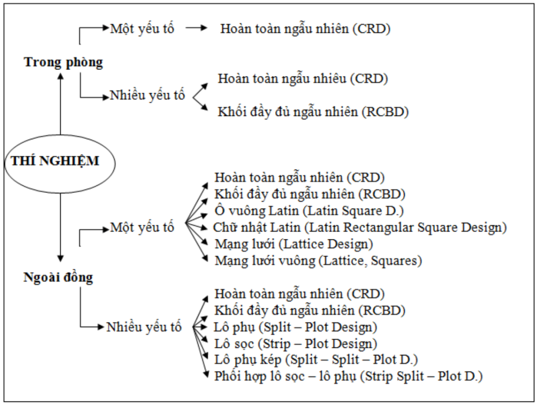 DỊCH VỤ PHÂN TÍCH DỮ LIỆU