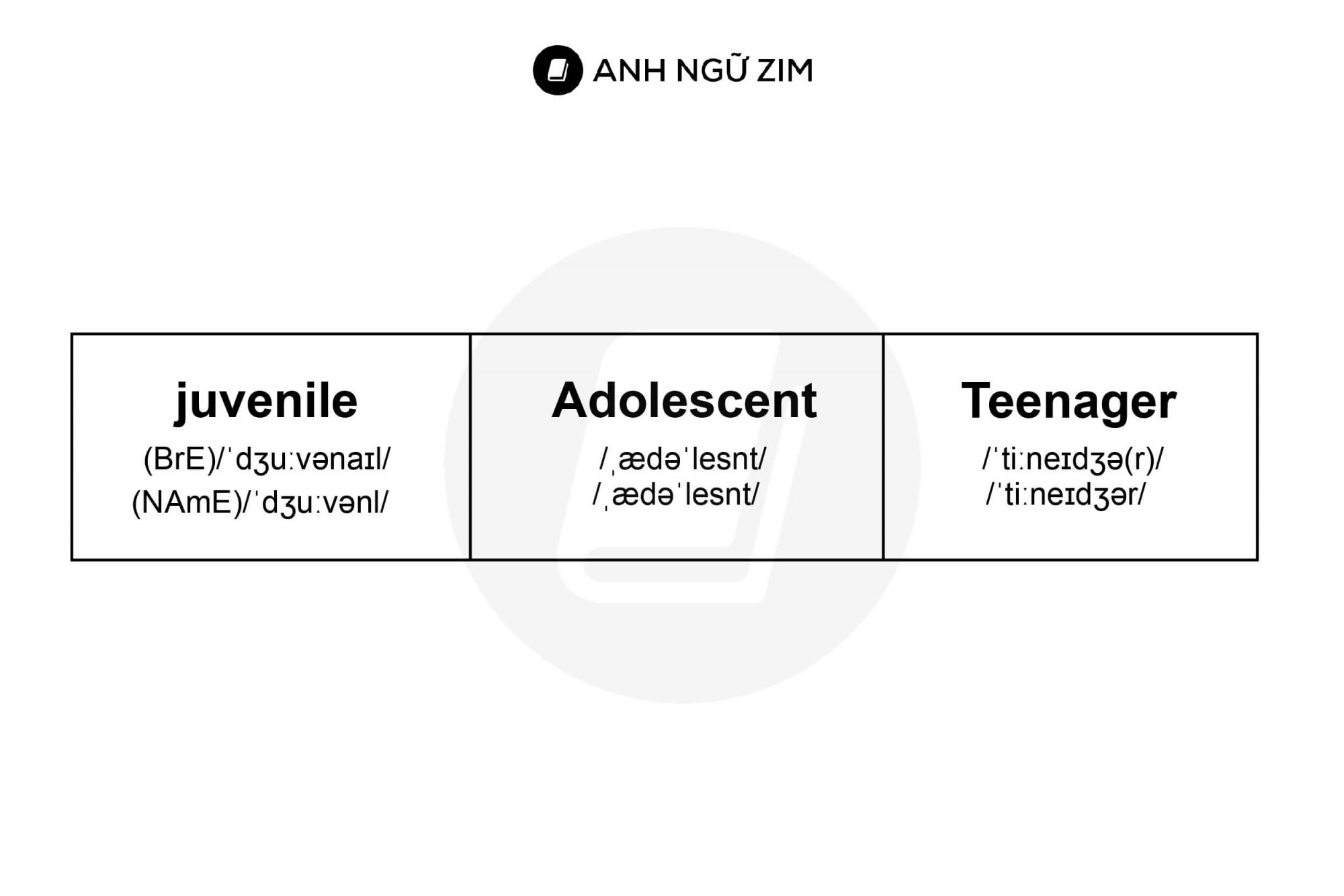 cac-tu-dong-nghia-trong-ielts-writing-children-so-sanh