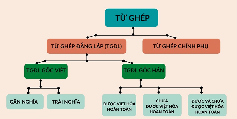 Đặc điểm cấu tạo từ ghép. (Ảnh: Sưu tầm internet)