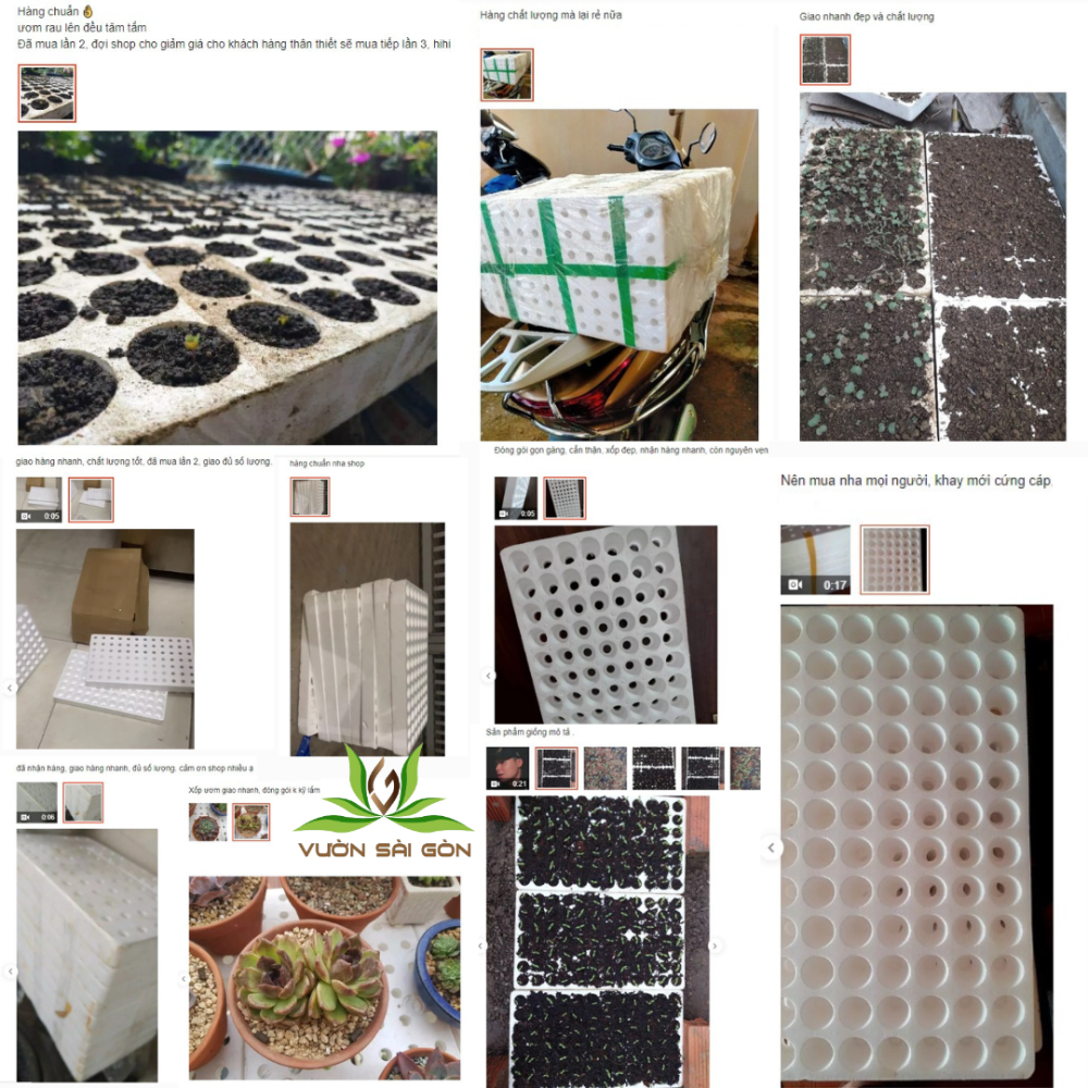 Khay Xop Uom Hat 84 Lo