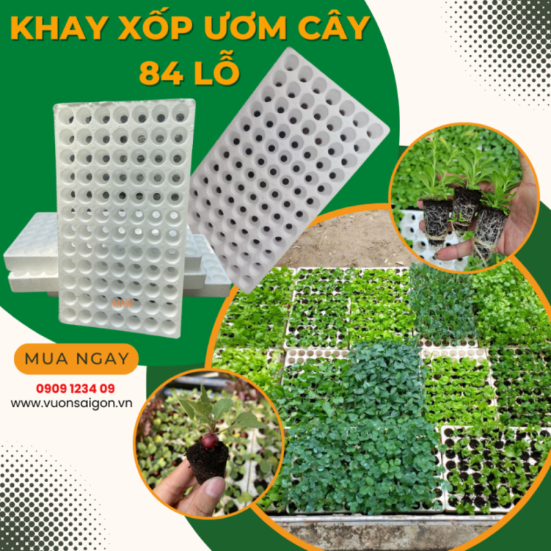 Khay xốp ươm cây 84 lỗ – Khay ươm hạt giống