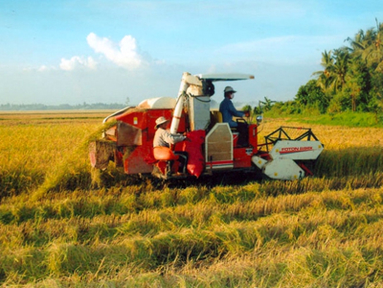 Để duy trì năng suất lúa cao nhất Đông Nam Á