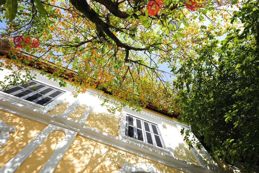 Phố dài xao xác hơi may