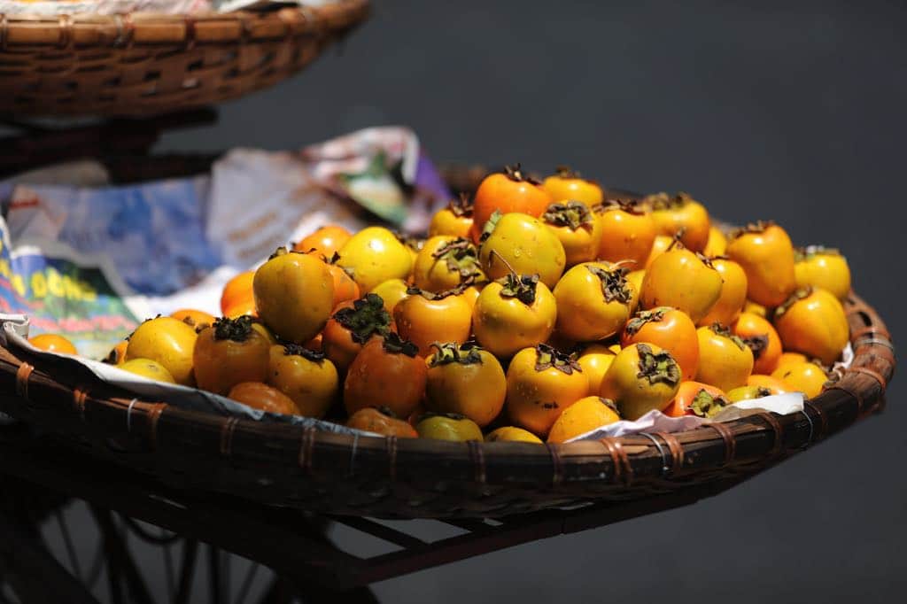 Phố dài xao xác hơi may