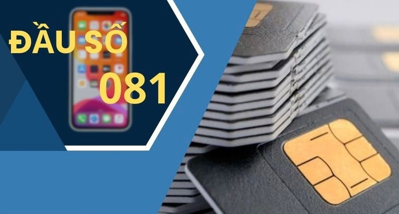 081 là mạng gì? Tìm hiểu đầu số đẹp của VinaPhone