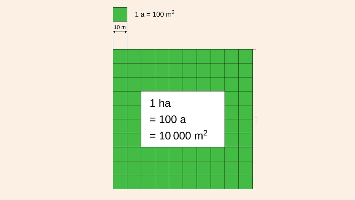 1ha bằng bao nhiêu m2?