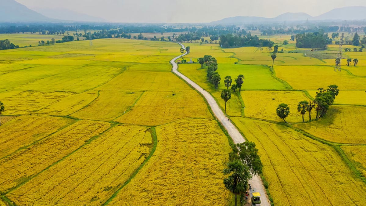 1 hecta bằng bao nhiêu mẫu?