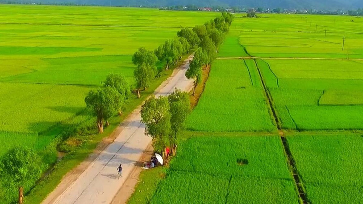 1 hecta bằng bao nhiêu sào?