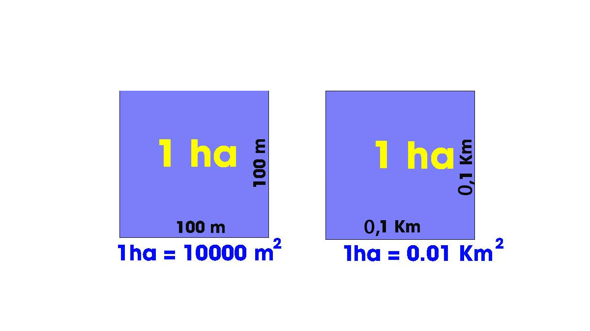 1000 mét vuông bằng bao nhiêu hecta?