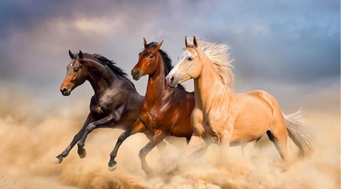 Năm nay 12 tuổi sinh năm bao nhiêu