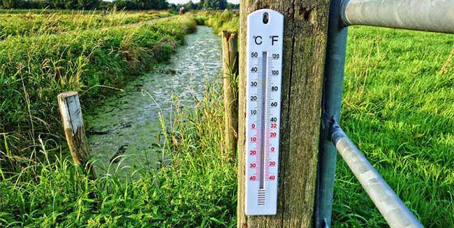 Vì sao người Mỹ sử dụng đơn vị nhiệt độ F thay vì độ C?