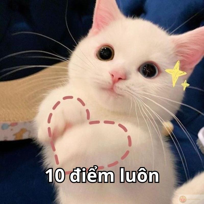 Cười xỉu luôn, 10 điểm hài hước không cần chỉnh