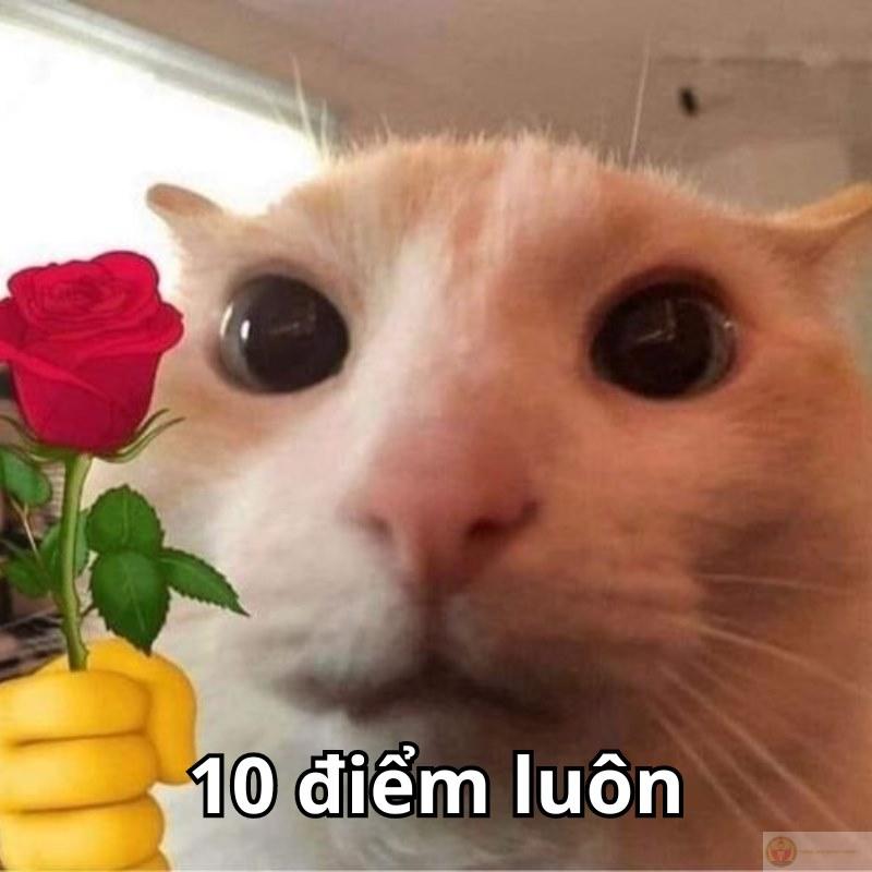 Đúng là 10 điểm biểu cảm không chê vào đâu