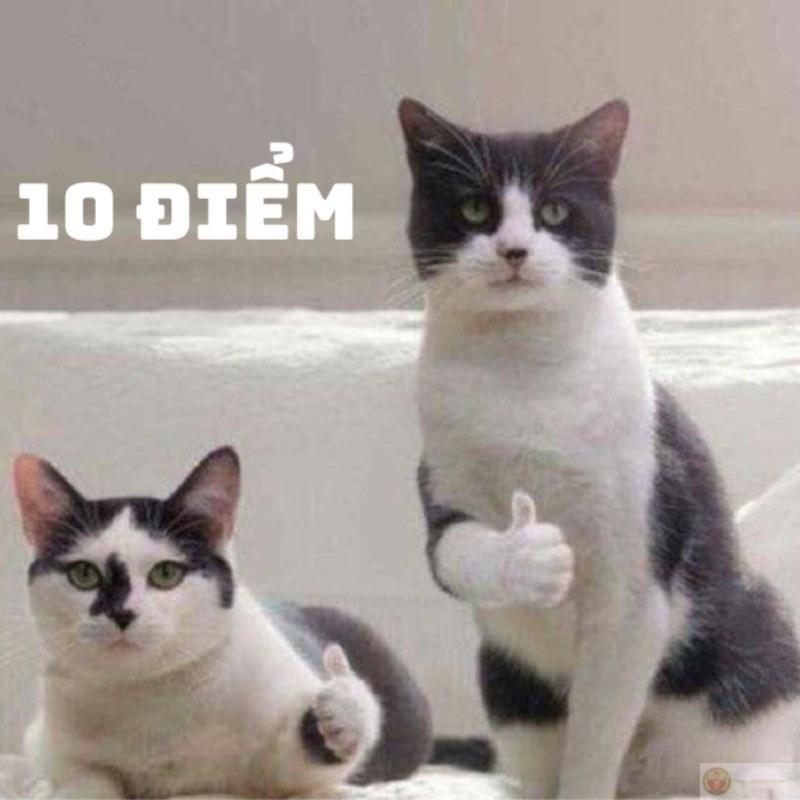 10 điểm meme bà già