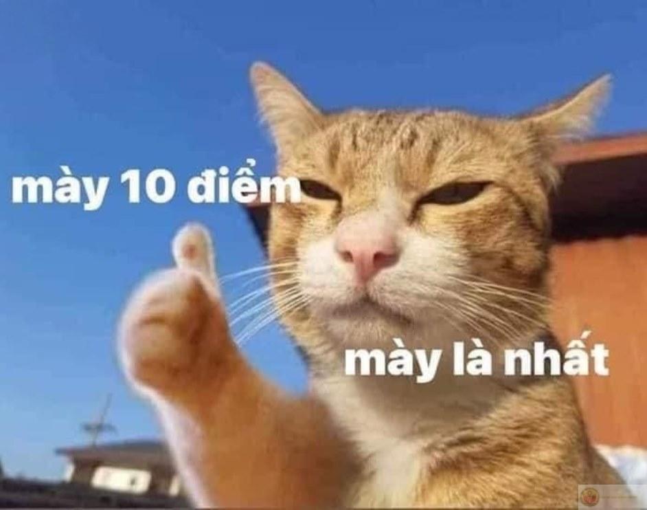 Hơi vô lý nhưng cực có lý, 10 điểm