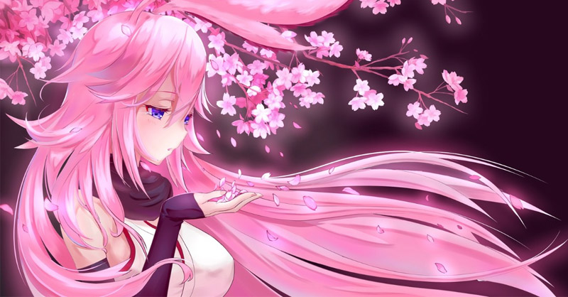 Gợi ý bộ sưu tập hình nền cute màu hồng cho điện thoại và máy tính