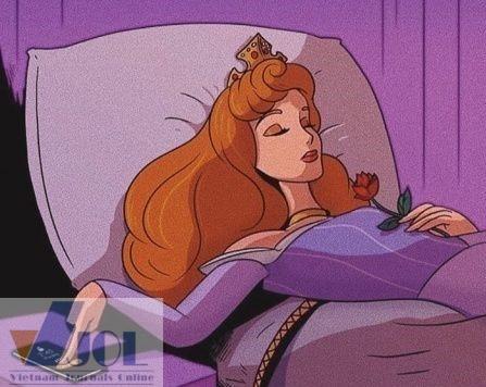 Nếu không cần thức, thì tôi xin phép ngủ