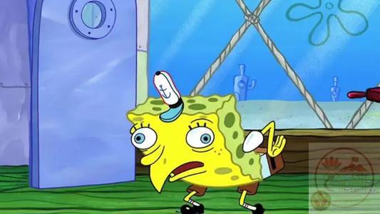 spongebob meme dễ thương