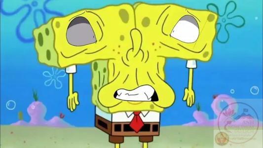 Spongebob meme hoạt hình