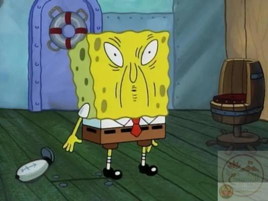 spongebob meme vui nhộn