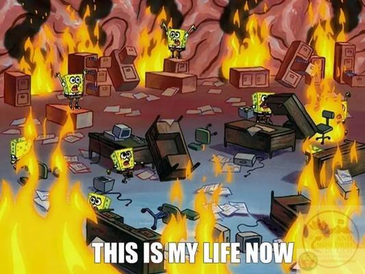 spongebob meme phản ứng